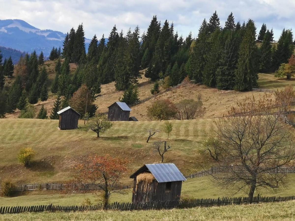 Pensiunea Agroturistica Casa Colinita Vatra Moldoviţei Eksteriør billede