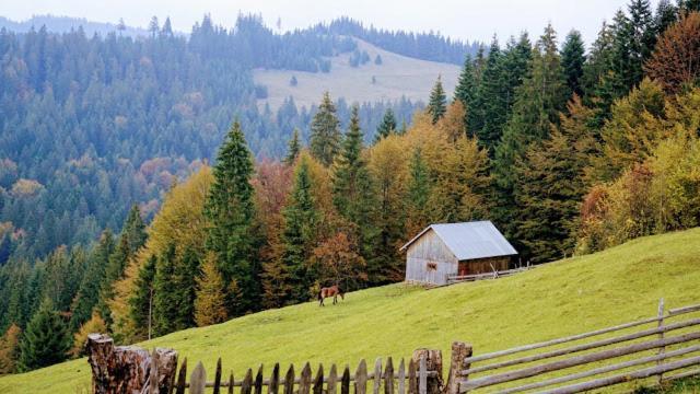 Pensiunea Agroturistica Casa Colinita Vatra Moldoviţei Eksteriør billede