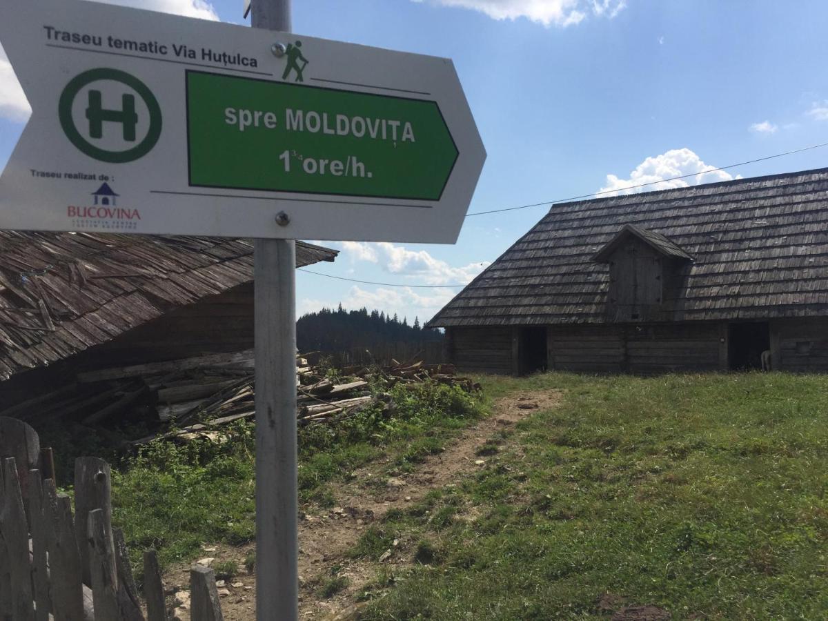 Pensiunea Agroturistica Casa Colinita Vatra Moldoviţei Eksteriør billede