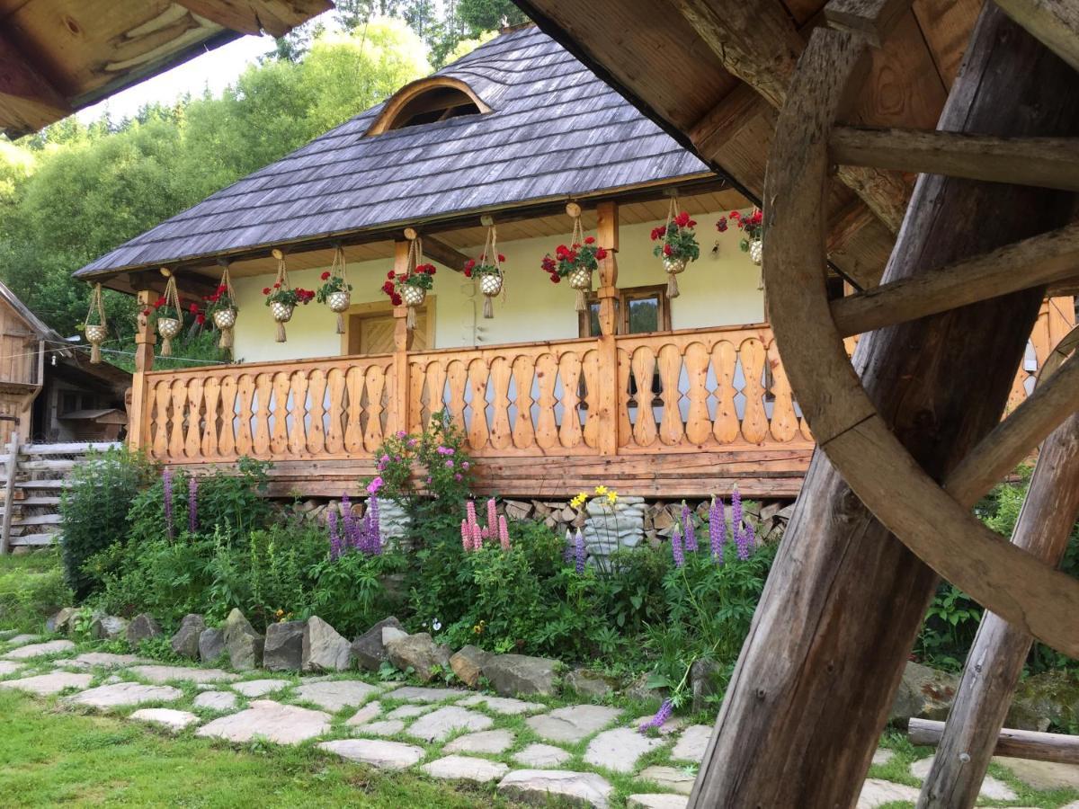 Pensiunea Agroturistica Casa Colinita Vatra Moldoviţei Eksteriør billede