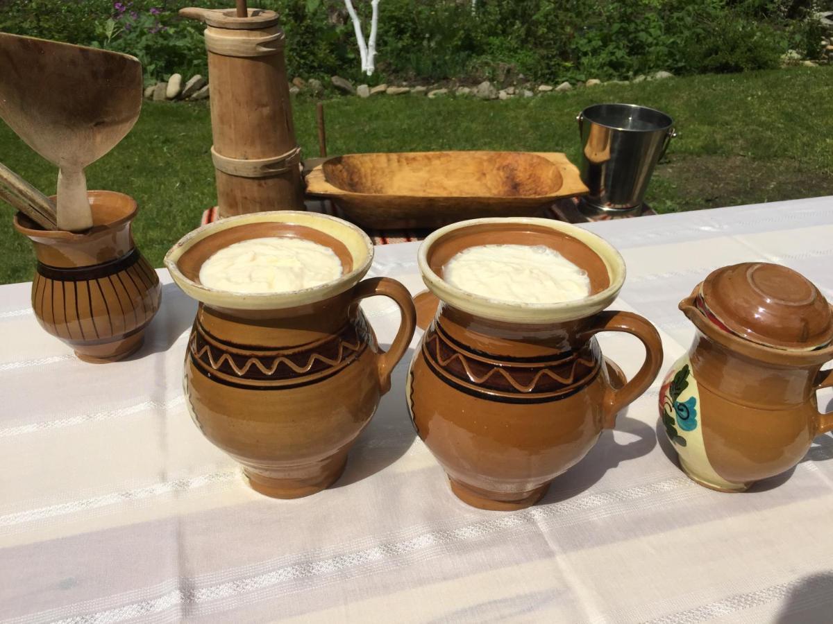 Pensiunea Agroturistica Casa Colinita Vatra Moldoviţei Eksteriør billede