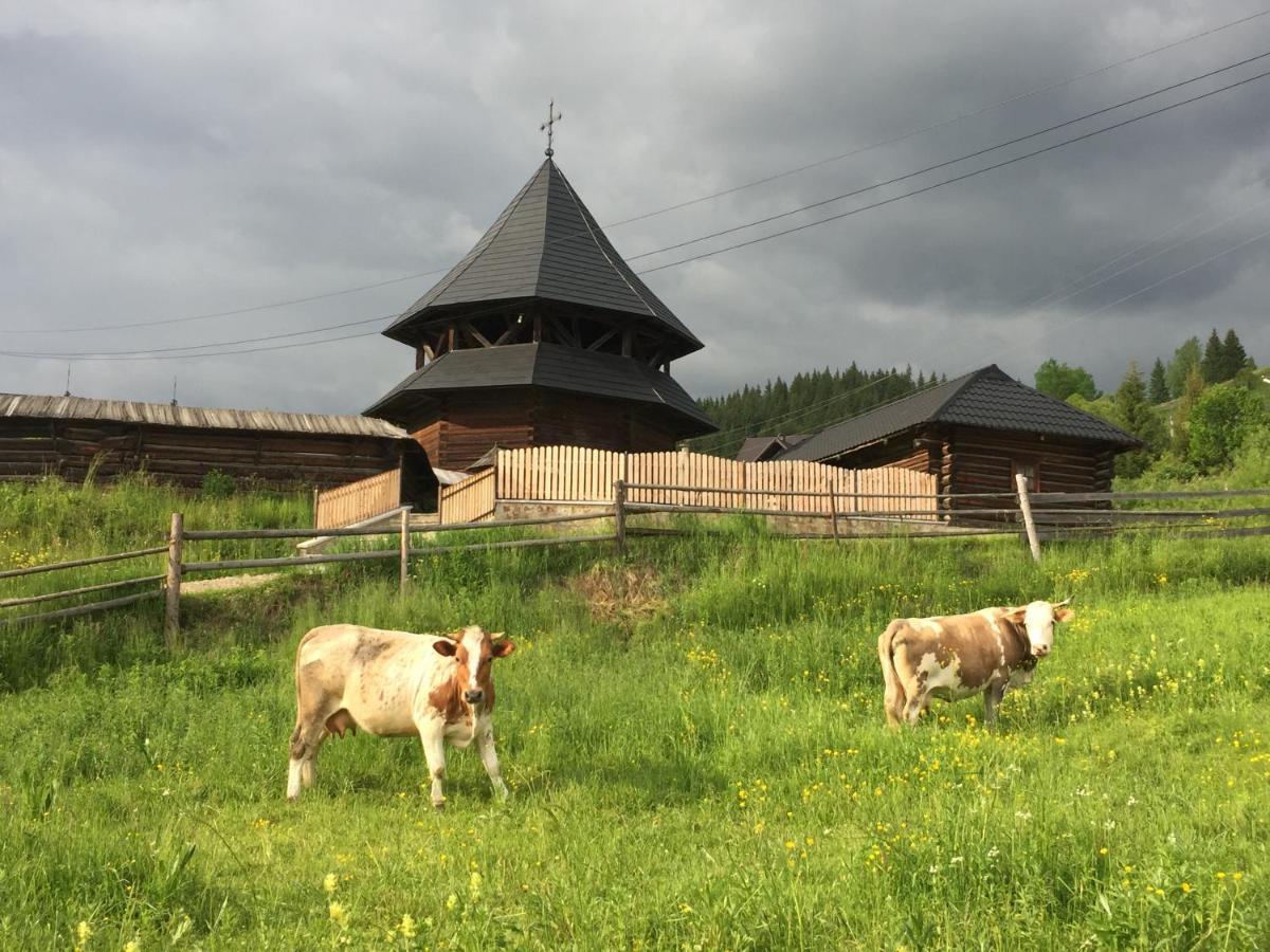 Pensiunea Agroturistica Casa Colinita Vatra Moldoviţei Eksteriør billede