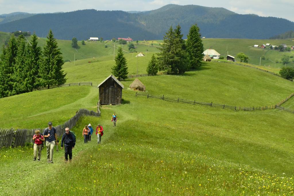 Pensiunea Agroturistica Casa Colinita Vatra Moldoviţei Eksteriør billede