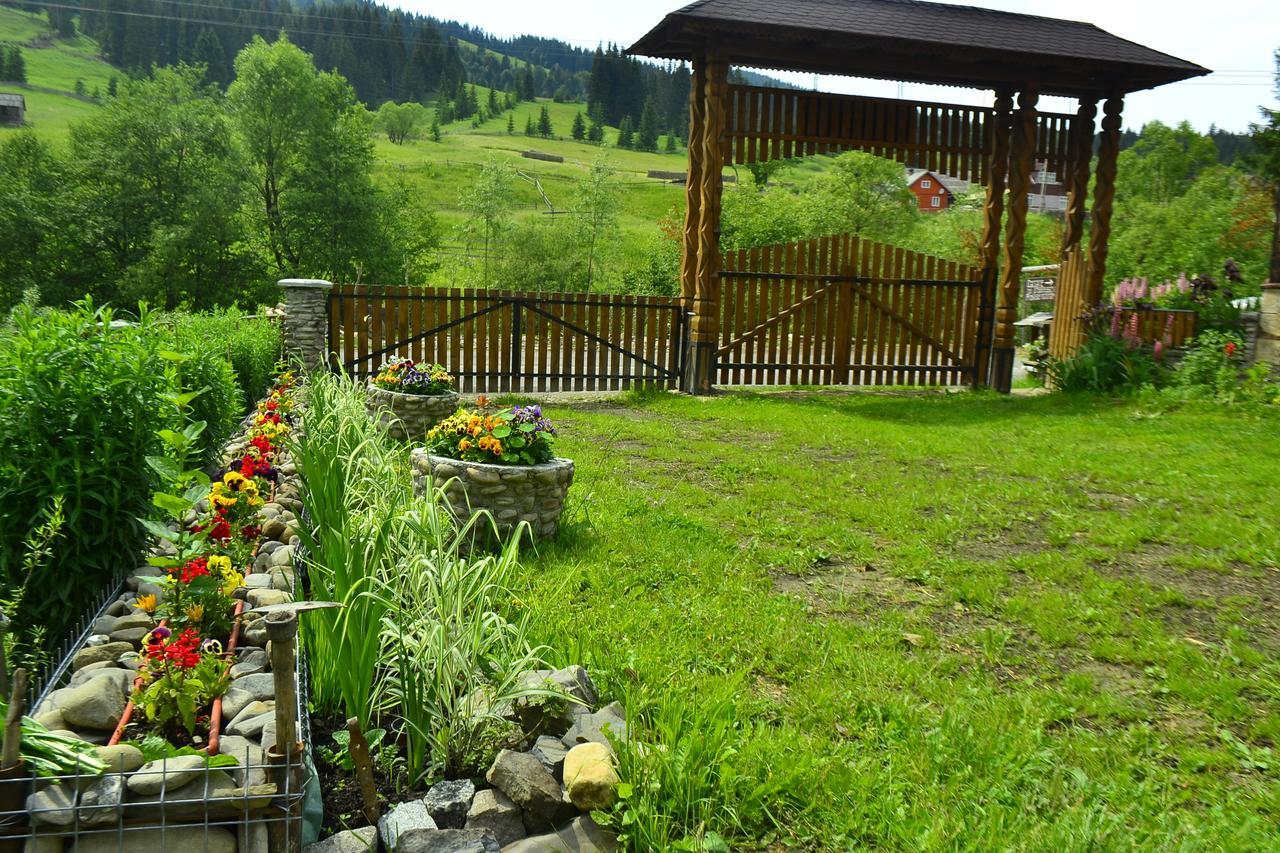 Pensiunea Agroturistica Casa Colinita Vatra Moldoviţei Eksteriør billede